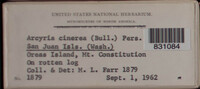 Image Associated With the Occurence
